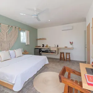 https://new-casa-neem-studios.quintano-roohotels.com